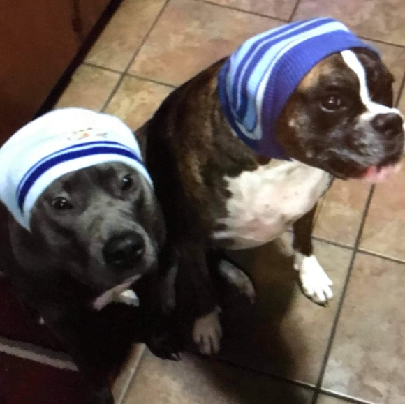 Meet your Posher, Candy - Picture 5 of 7